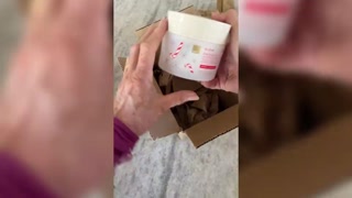 Creative: 08b0fa6b6e3917dafe0d92fbb380b126