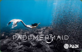 Creative: 08de40d0540831f82397c983efdf0918