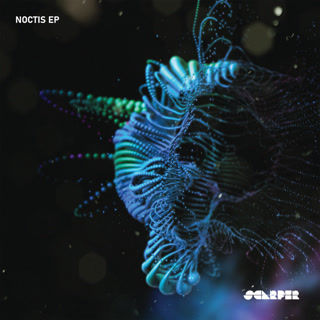 Creative: 08deeea7d415a231ce20287272c2d3db