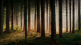 09359b9adf193f0c16ede12c9b45732f