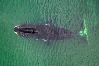 Creative: 0afdc4dbecf83fb527615bd439648ec8