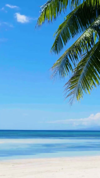 Creative: 0b81836288bd74f6eef9fab54f6d8b3c