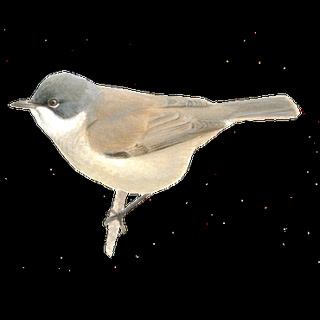 0beac14552015d8c4296c08ee32d562a