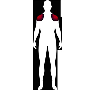 Creative: 0c3515523071bbfc23475ffc2c5c8670