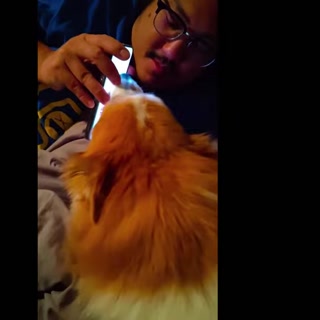 Creative: 0c43db210ca38b3410574b31e0fd5b18