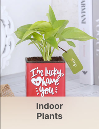 Creative: 0c6c98614e8fba71b9a30945a162e9f4