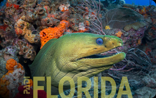 Creative: 0c722882344789e778959742936d84bf