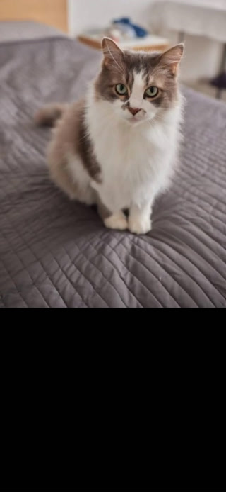 0c87dd9a1aa00f8c385039e1b63c0fb5