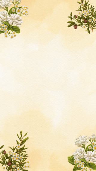 Creative: 0d5927cb0c84ed028c7aa95655f6fd84