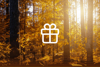 Creative: 0d80f9d623daf33176c1486c1a388aa1