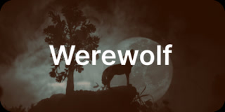 Creative: 0e53df6813312e5f3898954eb5c73df1