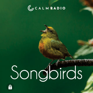 Creative: 0eeb2de99b58f835dac1c17022292151