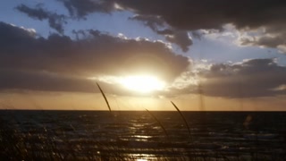 Creative: 0ef57477d1b4de67aa00fc6e343985ef