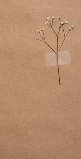 0f3eaac414f5fb1d78d6594b7e67782e