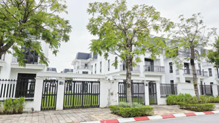 Creative: 0f4a5d6c21f608107d348cc4764ad988