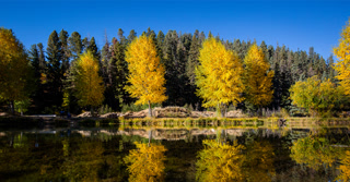 Creative: 0f600f3e10e712ded1b0f520aedad3b9