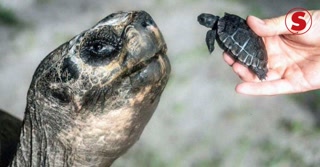 0fa366944765a6996c5a7ab4d825a86e