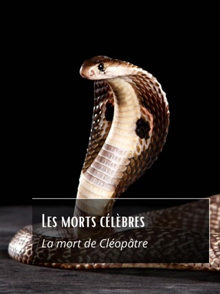 0fc37445a2852951db96599d26ea7a10