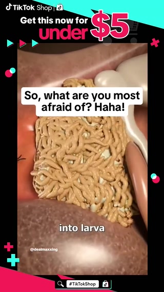 Creative: 0fd3692311818ebe9cab84a526dd948d