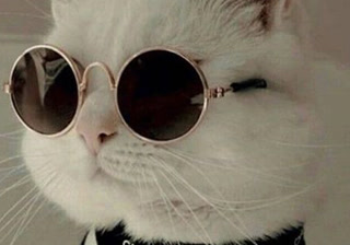 1068d08254c2d5480f80fe65c6c5d4ca