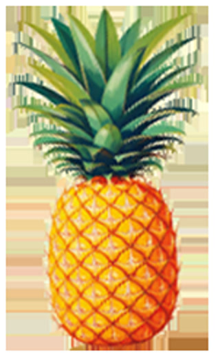 Creative: 1078f79a3c755a3b0d899f1d69134f30