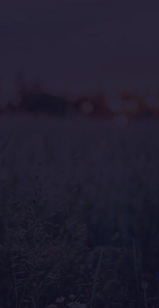 Creative: 10e41ef7630ed414f49569a4db1657a1