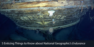 11634c9666c9fe8d5f65c10c90e3fad2