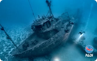 11c4b5b07ba61e7b15e7b0b02542483d