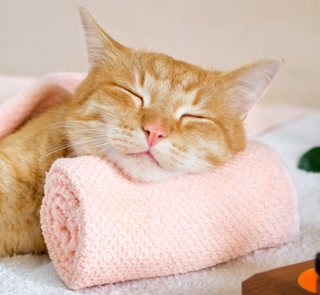 1223de3848b273fdf49975dbae80c869