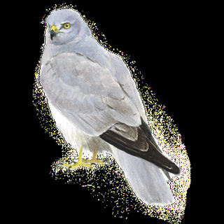 1319adfc49cb10548575fb016b5437a2