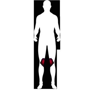 Creative: 132316b0aee4be80babb3d8f2facb8e5