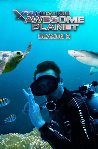 Creative: 13c7f707993303a9b2a4ddc5fcd6745d