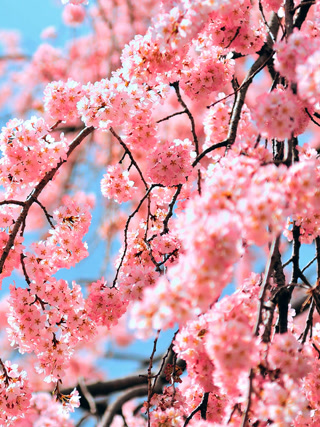 Creative: 14f4bdf69b757fc23ffefe7dbcb540cc