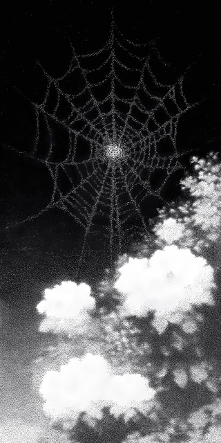 Creative: 16ab705f78e423a6de17655ba4f2d658