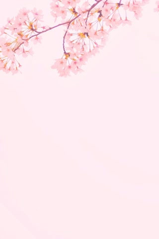 17101f5cc8b20871ce6e5cbea995a0d9