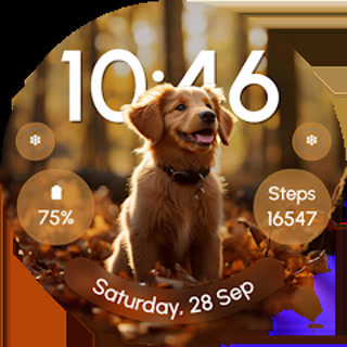 Creative: 17cbc41d0ed7b100994150c9be1d1b41