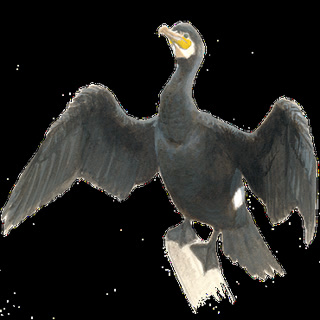 1924f3c2131d87743845176d9430f2ed