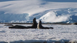 1a01192a6fc98d2f7cb0efdd681026fb