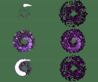 Creative: 1ad0628ee31f00120dea8bb38c81d15d