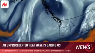 Creative: 1c8a7c1d4220c3f1fedc7400038d868d