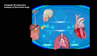 1cc28d64732c7dd46835dfdd6dd40f4c