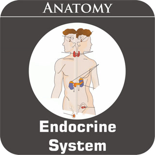 Creative: 1fb5cf3591f423234e7c4a1e8c9eebf4