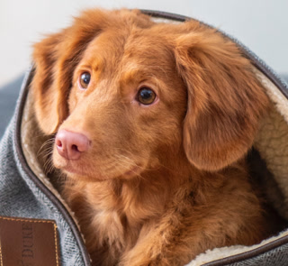 1ffc3589883d01a2d38c473f9d1c85b5