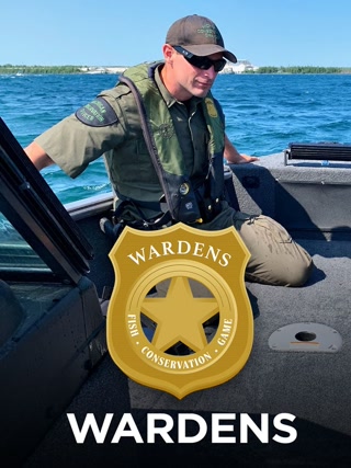 20273e8087f6818c85e890698f4ddf57