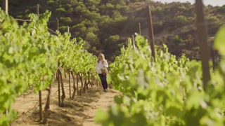 Creative: 20ad3912a1043dbb943d7b6220bb0f7c