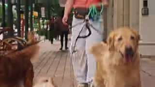 Creative: 2100797dd75eeeb880ce3d9375a7e3f8