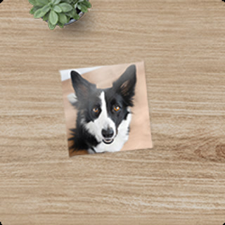 Creative: 213f0cf23fbfbc29393e1550b255b60e