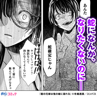 Creative: 214ec62b0832c6f415742684ff8d6df4