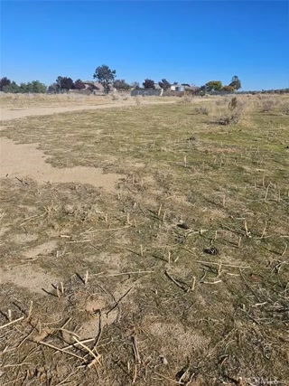 Creative: 216de2d18fac6b0b9230d290bb3203f8