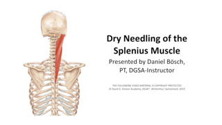 Creative: 217e427b5225af2747c8205aa6c30426